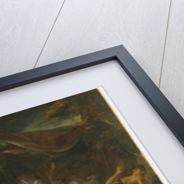 The Battle of the Lapithes and the Centaurs by Jean Francois de Troy