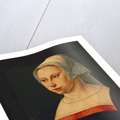 Portrait of a Lady holding a Ring by Jan van Scorel