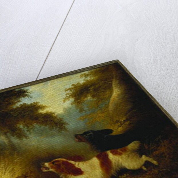 Spaniels putting up a Pheasant by George Armfield