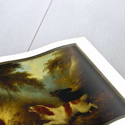 Spaniels putting up a Pheasant by George Armfield