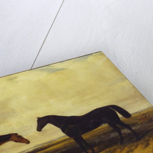 The Earl of Granard's bright bay filly and dark bay stallion, 1885 by William Snr. Luker