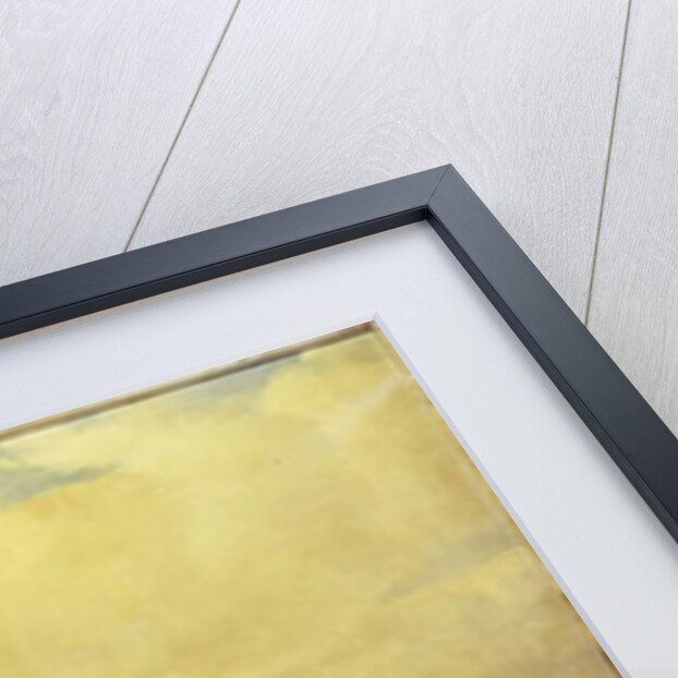 The Earl of Granard's bright bay filly and dark bay stallion, 1885 by William Snr. Luker