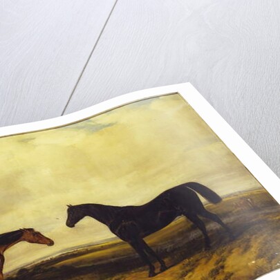 The Earl of Granard's bright bay filly and dark bay stallion, 1885 by William Snr. Luker