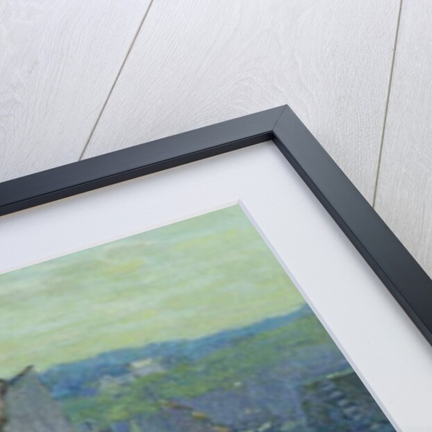 Concarneau by Terrick Williams