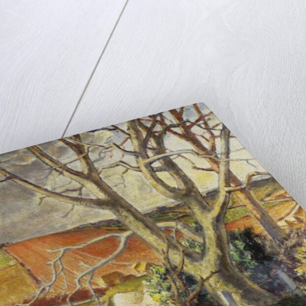 Dorset Chalk Quarry by Harry Morley