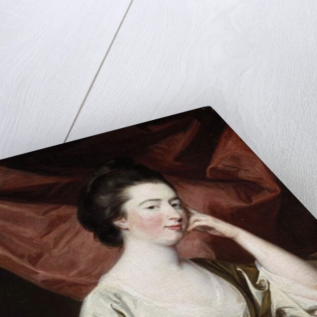 Portrait of a Lady in a White Dress and Blue Sash by Francis Cotes