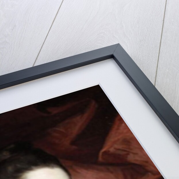 Portrait of a Lady in a White Dress and Blue Sash by Francis Cotes