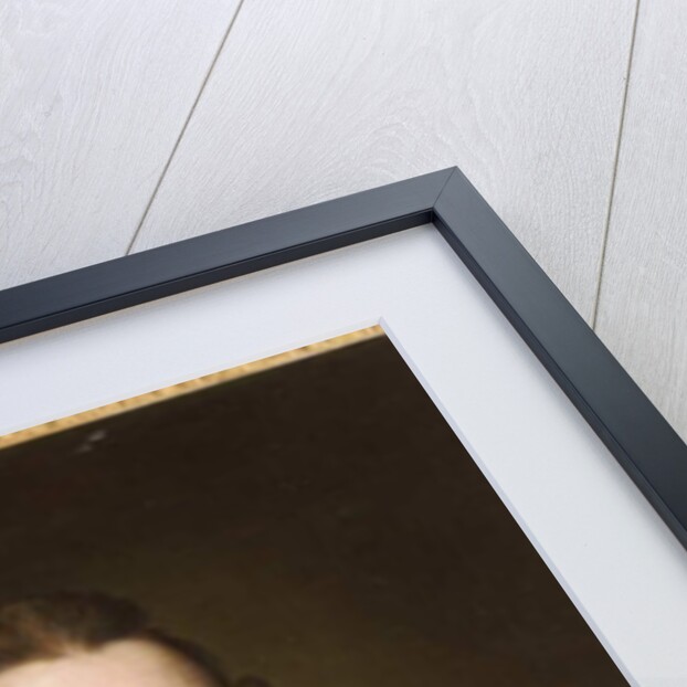 Portrait of a Gentleman by Francis Cotes