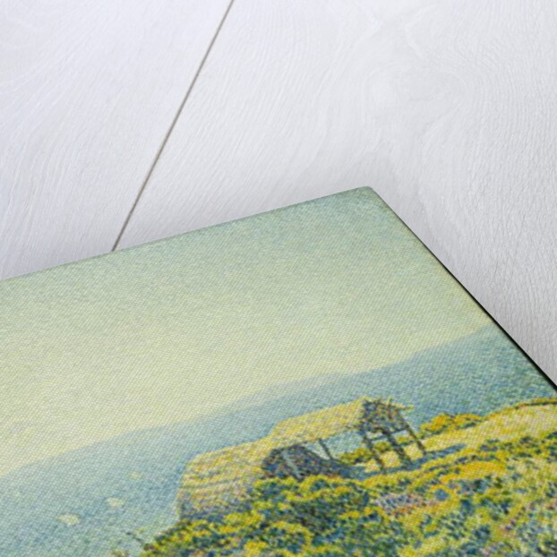 L'Ile du Levant, vu du Cap Benat, 1893 by Theo van Rysselberghe