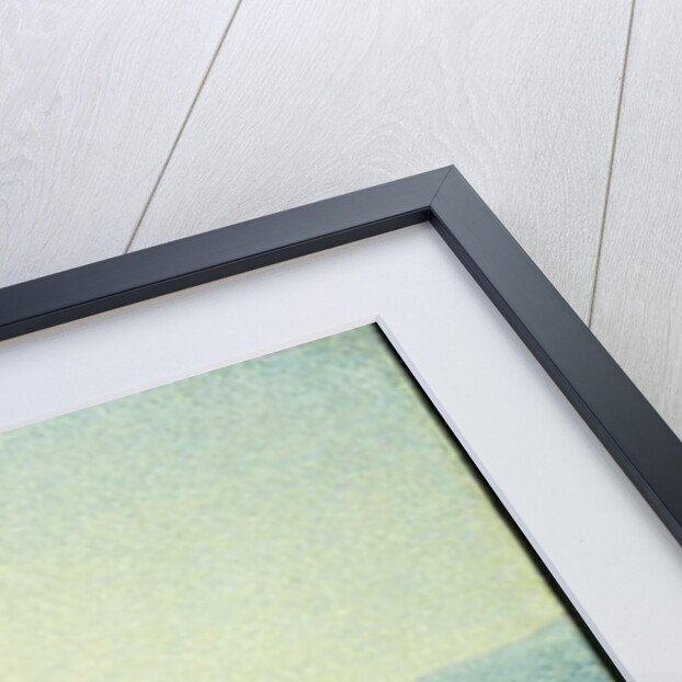 L'Ile du Levant, vu du Cap Benat, 1893 by Theo van Rysselberghe