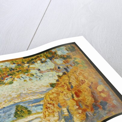 Countryside at Noon, 1895 by Theo van Rysselberghe