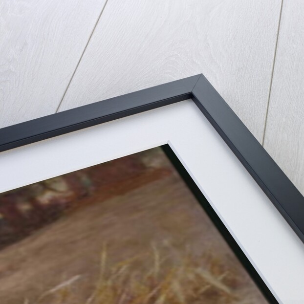 The Tiger by John Charles Dollman