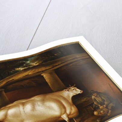 The White Heifer that Travelled, with a man slicing turnips in a stable yard, 1811 by Thomas Weaver