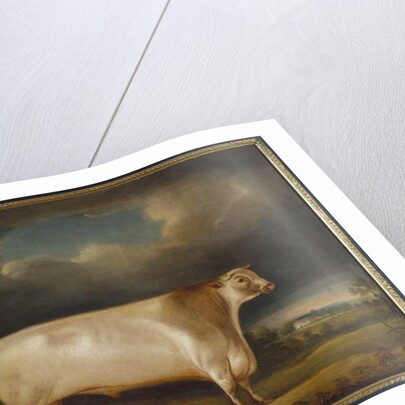 Comet, a light roan short-horn bull in a landscape, 1811 by Thomas Weaver