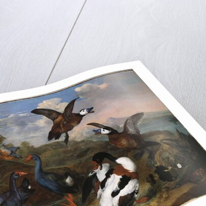 Shell Ducks and other Fowl in a Landscape, 1720 by Ferdinand Phillip de Hamilton