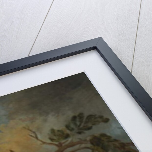 A Falcon on a Branch, 1736 by Ferdinand Phillip de Hamilton