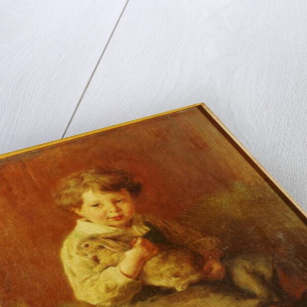 The Pet Rabbit by Felix Schlesinger