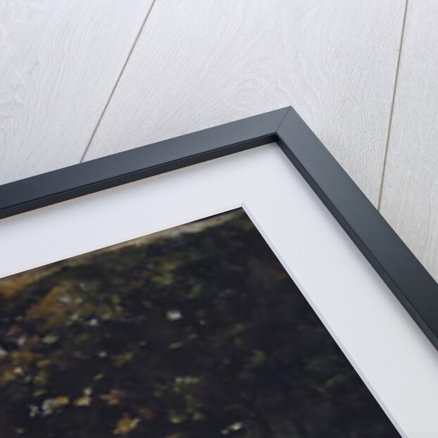 An Apple for Little Sister by Jacob Simon Kever