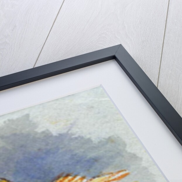 A Harvester, 1863 by Andreas Achenbach