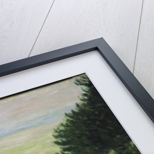 Stroller by the Sea, 1885 by Gustave Caillebotte