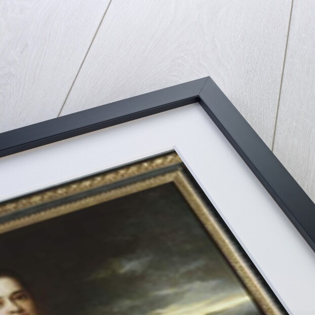 Portrait of a Lady wearing a White Dress embroidered with Pearls by Adolphe Joseph Thomas Monticelli