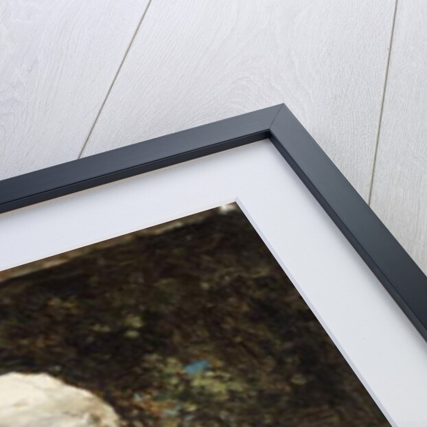 A Roman Girl by Jacob Henricus or Hendricus Maris