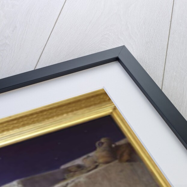 Eastern Dream, 1904 by Jean Jules Antoine Lecomte du Nouy