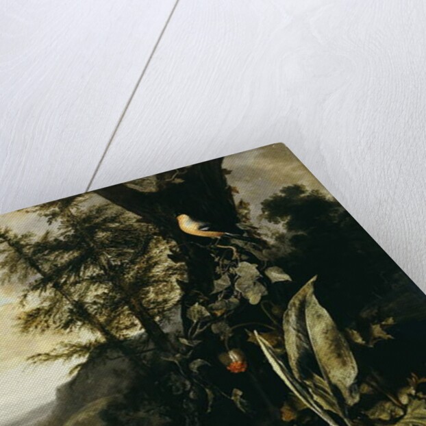 A Forest Floor with a Toad and a Lizard, a Bullfinch on a Branch of Ivy above, and a Mountain beyond by Matthias Withoos