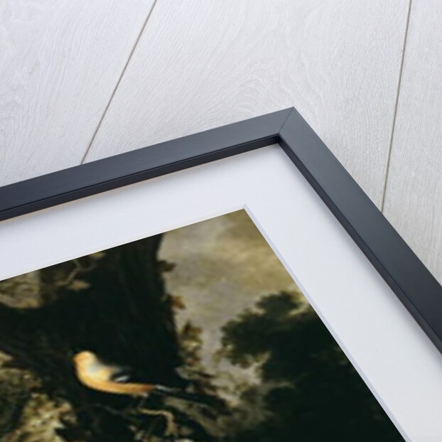 A Forest Floor with a Toad and a Lizard, a Bullfinch on a Branch of Ivy above, and a Mountain beyond by Matthias Withoos