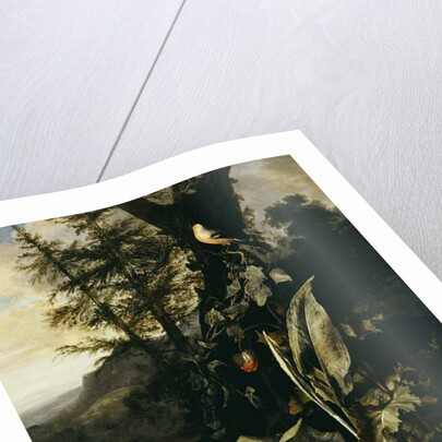 A Forest Floor with a Toad and a Lizard, a Bullfinch on a Branch of Ivy above, and a Mountain beyond by Matthias Withoos