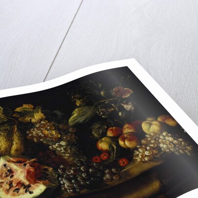 Still Life of Water Melon, Grapes, Plums, Peaches, Cherries and other Fruit on a Ledge by Abraham (follower of) Brueghel