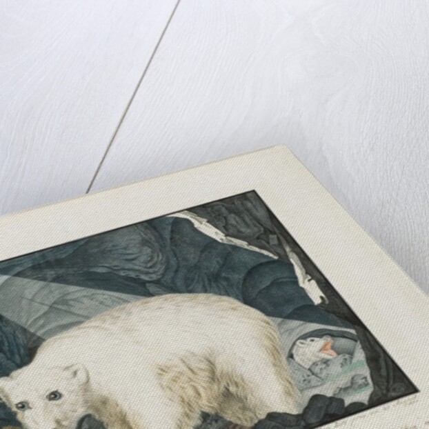 The White Bear, 1844 by Aloys Zotl