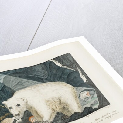 The White Bear, 1844 by Aloys Zotl