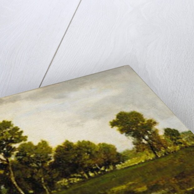 Fagotière près de la mare aux vipères, 1862 by Narcisse Virgile Diaz de la Pena