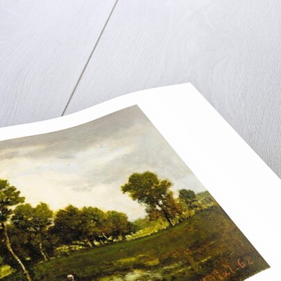 Fagotière près de la mare aux vipères, 1862 by Narcisse Virgile Diaz de la Pena