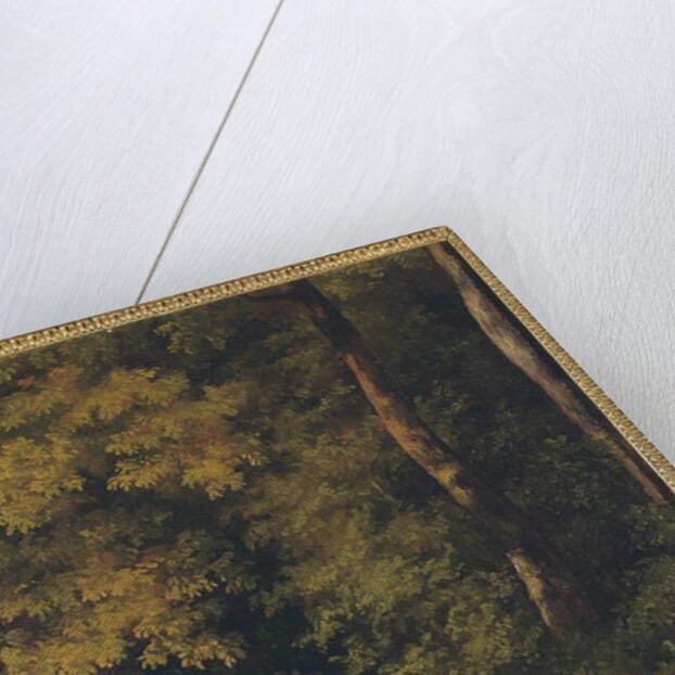 A woodland clearing, 1840 by Jean-Michel Cels