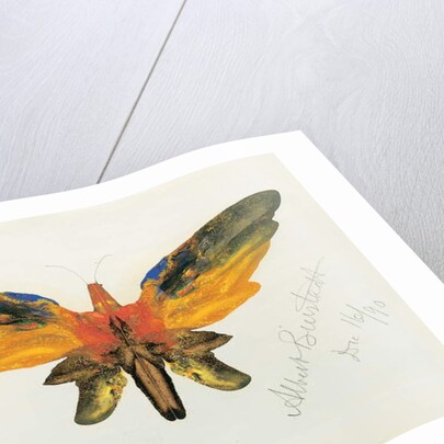 Butterfly, 1890 by Albert Bierstadt