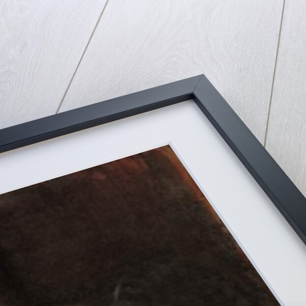 Sensuality, c.1891 by Franz von Stuck