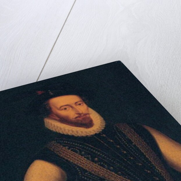 Portrait of Sir Walter Raleigh, 1595 by Marcus the Younger (manner of) Gheeraerts