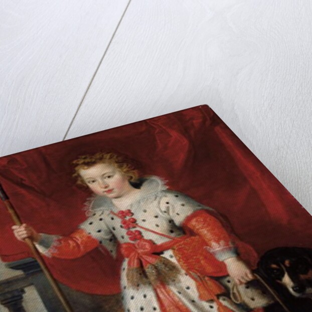 Portrait of a boy, traditionally called Francois de Boisschot by Cornelis de Vos