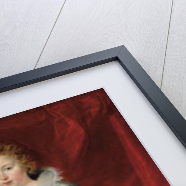 Portrait of a boy, traditionally called Francois de Boisschot by Cornelis de Vos