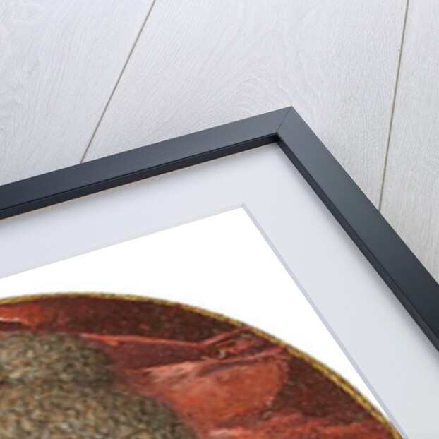 Maria de Medici by Frans II Pourbus