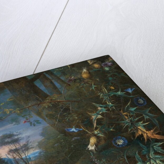 forest floor still life with a frog and a mushroom, mountains beyond by Matthias Withoos