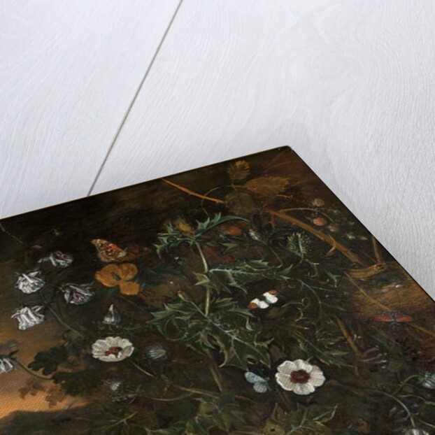 Thistles, brambles, poppies and other plants by Matthias Withoos