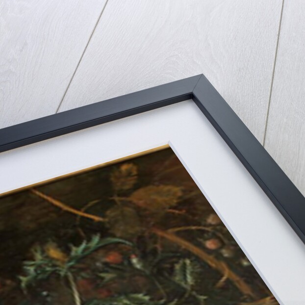 Thistles, brambles, poppies and other plants by Matthias Withoos