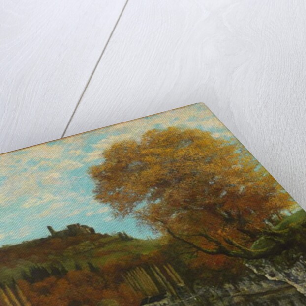 Le Miroir de Scey-en-Varais, 1864-68 by Gustave Courbet