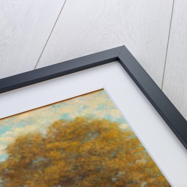 Le Miroir de Scey-en-Varais, 1864-68 by Gustave Courbet