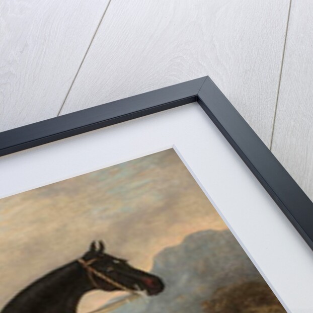 John Dawson Duckett on Lad, 1856 by Samuel Spode