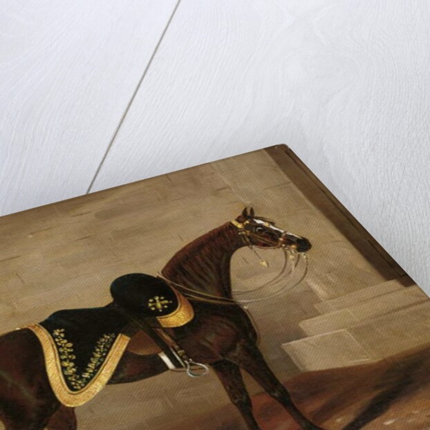 Copenhagen, the charger of the Duke of Wellington at Waterloo by Samuel Spode