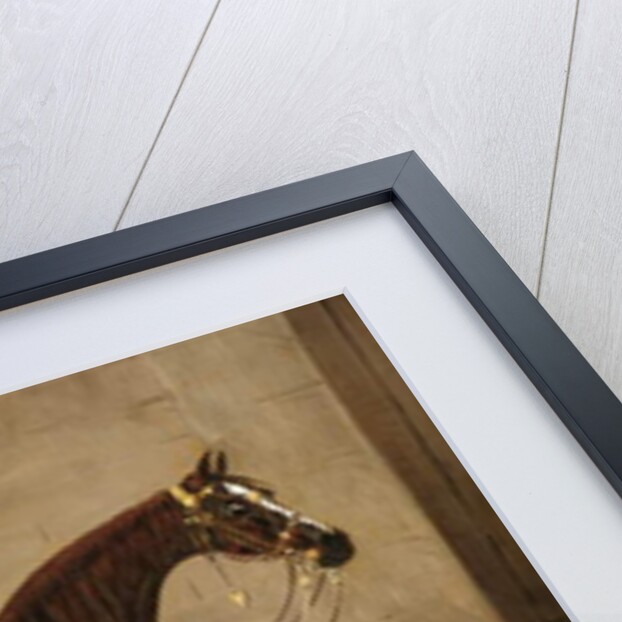 Copenhagen, the charger of the Duke of Wellington at Waterloo by Samuel Spode